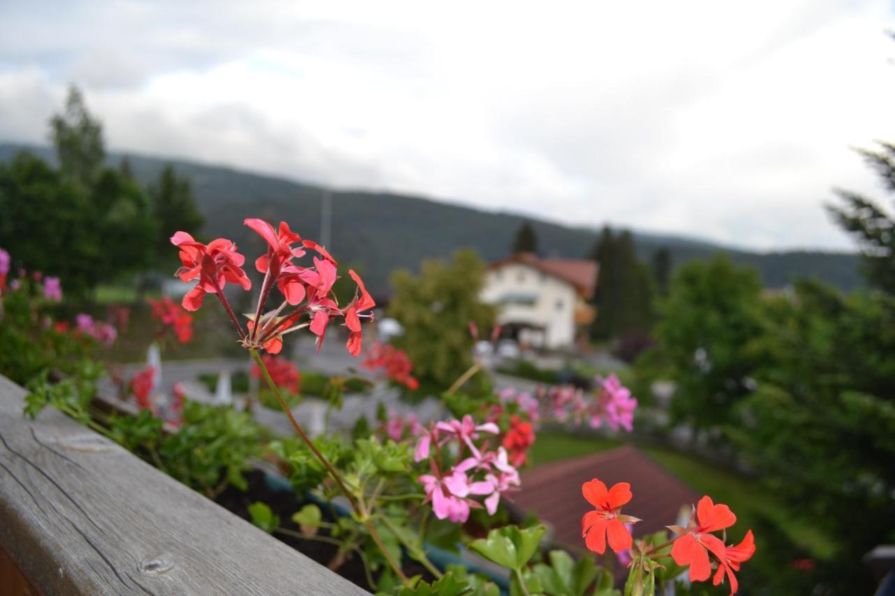 Gasthof Zum Gruenen Baum Verano المظهر الخارجي الصورة